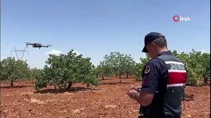 Gaziantep’te jandarma ekipleri ’yeşil altın’ için nöbette