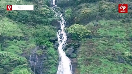 रायगड किल्ल्यावर कोसळणाऱ्या धबधब्याचे मनोहारी दृश्य; गडाचं निसर्ग सौंदर्य खुललं, पाहा व्हिडीओ