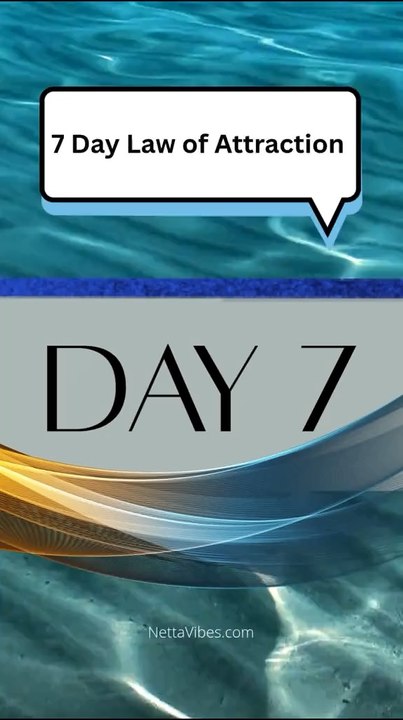 7 Day Law Attraction