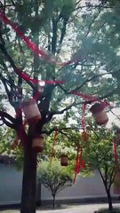 The Hidden Edge of Grace [Full]