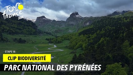 Parc National des Pyrénées - Tour de France 2025