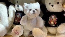 find the difference where is the dog among the stuffed bears? haha