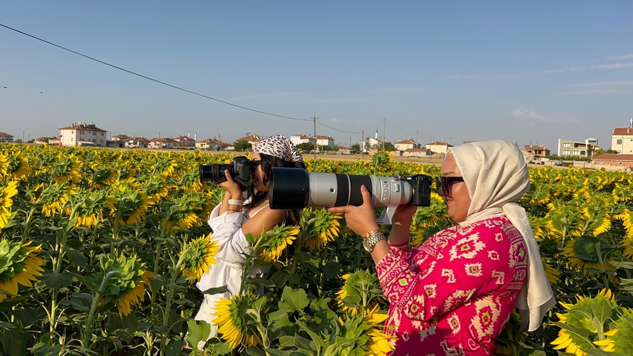 Tarlalar doğal stüdyoya dönüştü! Gün batımında ayrı güzel