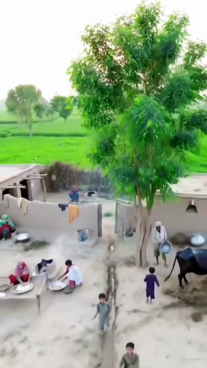 Village life