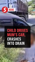 Police trace owner of car driven by 11-year-old child