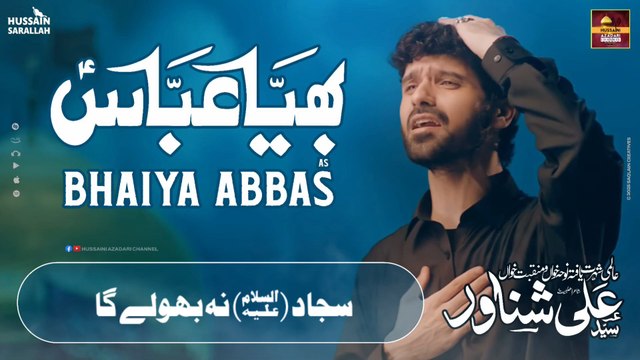 25 Muharram Status -Bhaiya Abbas - Ali Shanawar - Hussaini Azadari Channel