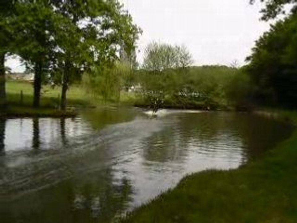 wake