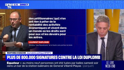 Pétition contre la loi Duplomb: Laurent Duplomb cible "des pétitionnaires qui n'en ont rien à péter de la rentabilité des activités économiques"