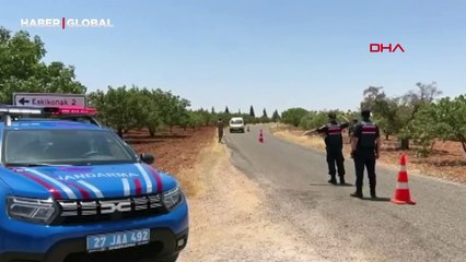 'Yeşil altın'a jandarma koruması böyle görüntülendi