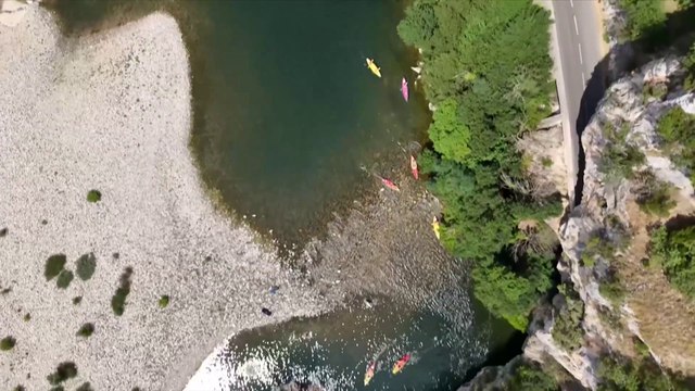 Un bison futé des gorges de l'Ardèche pour connaître l'affluence des canoës