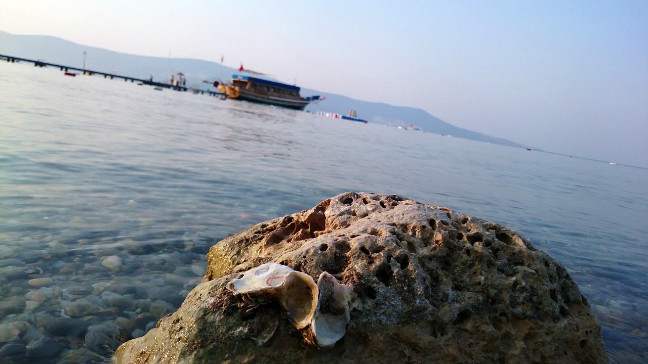 Jean François Michael - Si L amour Existe Encore