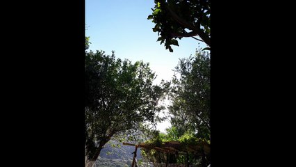 Türkülerle Türkiye - Bolu - Meşeli