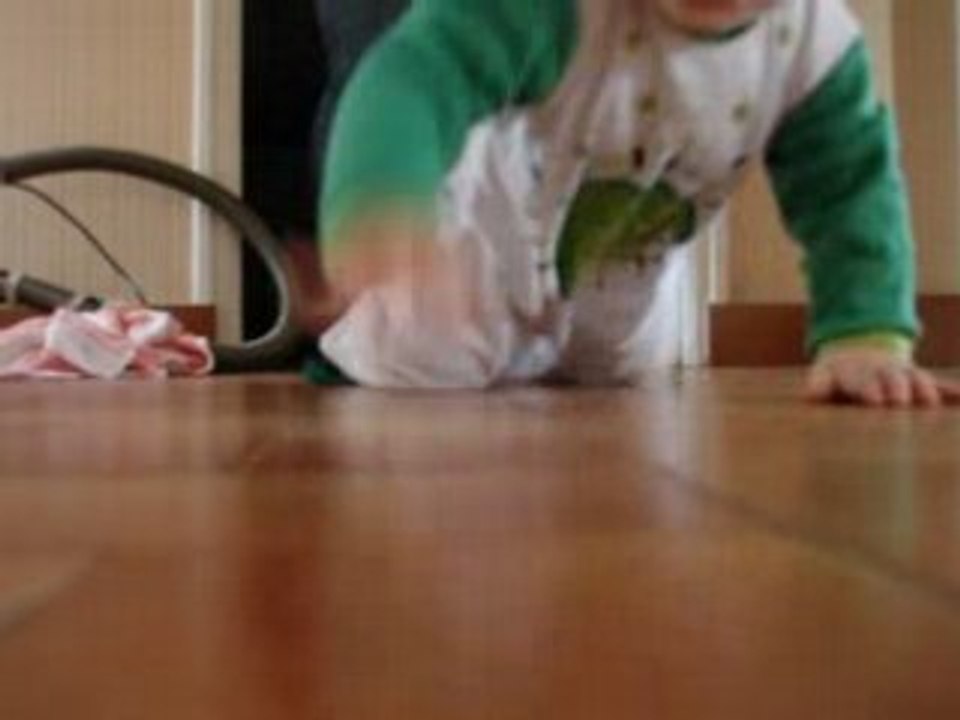 MOV04446