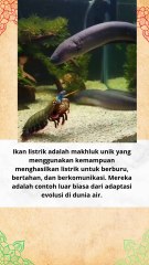 Bagaimana Ikan Menghasilkan Listrik #beritaterkini