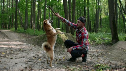 A Man Playing With His Dog in the Woods