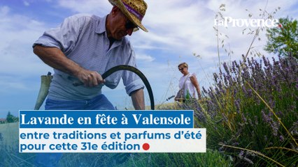 Lavande en fête à Valensole : entre traditions et parfums d’été pour cette 31e édition