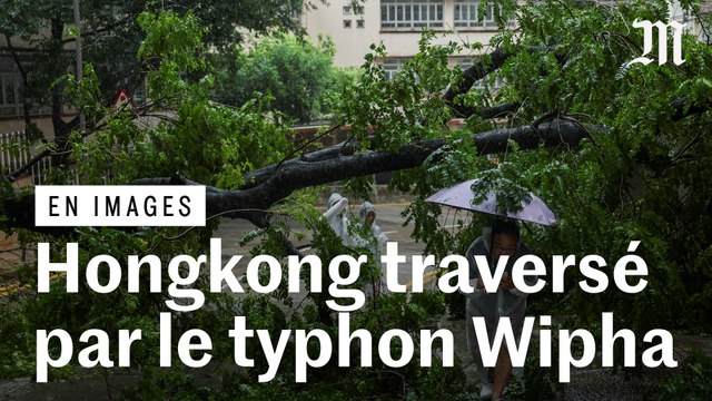 Typhon Wipha : de nombreux arbres déracinés et plusieurs échafaudages effondrés à Hongkong
