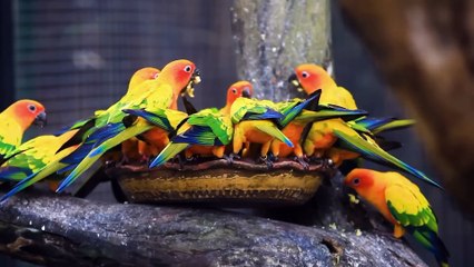 Mix CANDLE WAX with Used Motor Oil! Every Home Needs It but Billions Don't Know