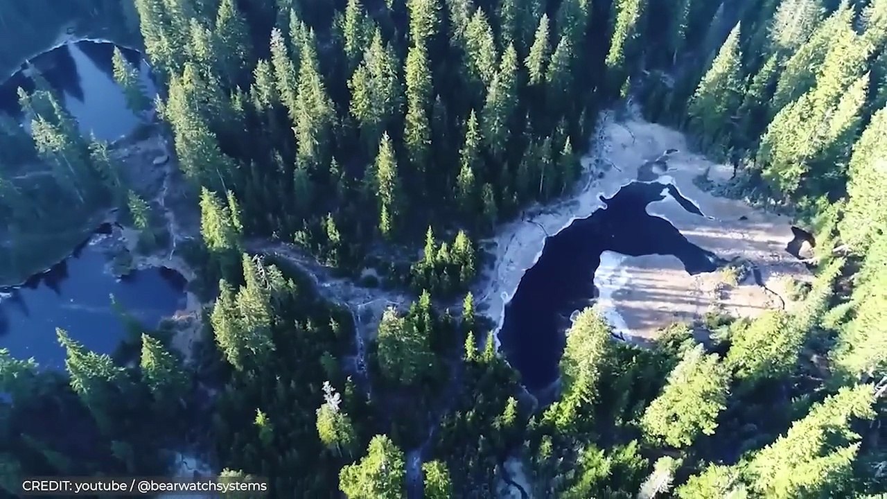 Next-Level Camping Gear You Didn't Know Existed!