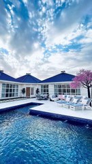 كم تبلغ ثروة نجلاء عبدالعزيز؟ جولة داخل حياتها الخاصة