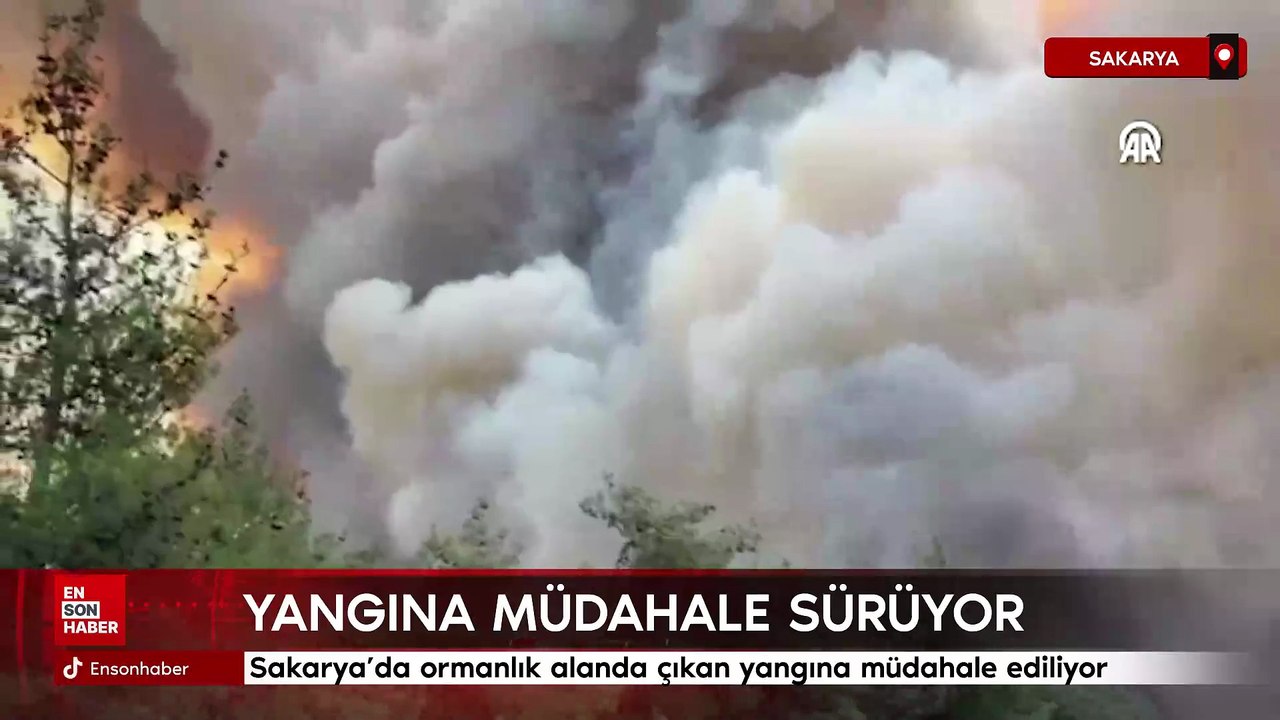Sakarya’da ormanlık alanda çıkan yangına müdahale ediliyor