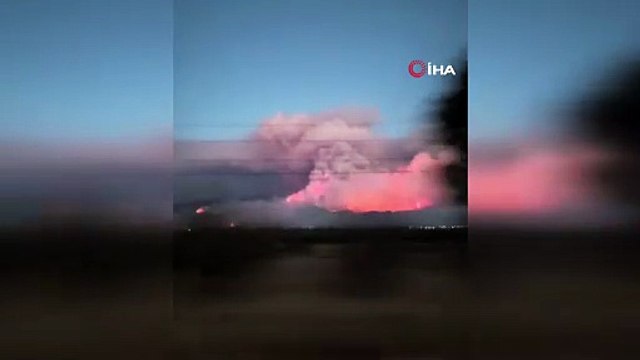 Sakarya’da orman yangınına 8 helikopter, 5 uçak müdahale ediyor