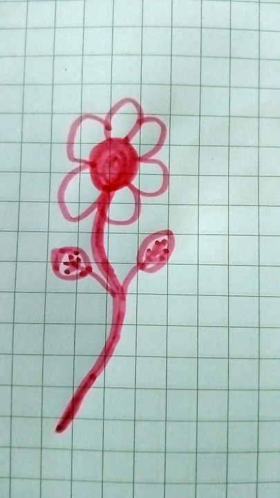Disegno 21