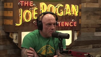 JOE ROGAN Talks to FBI Director Kash Patel about epstein