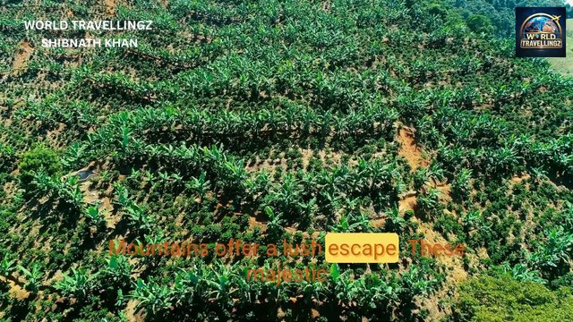 Exploring Kingston, Jamaica – Culture, History & Reggae Vibes.