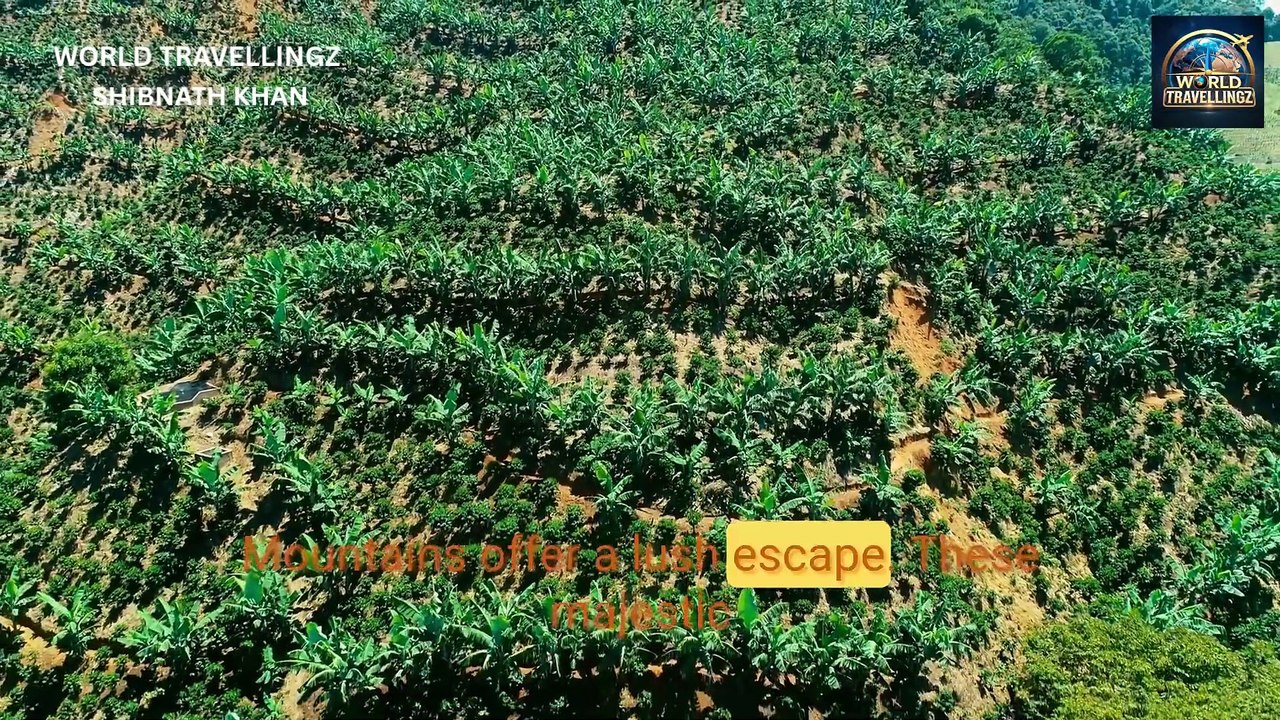 Exploring Kingston, Jamaica – Culture, History & Reggae Vibes.