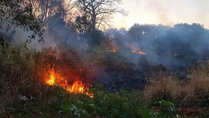 Incêndio em vegetação gera grande nuvem de fumaça no bairro Santa Cruz, em Cascavel