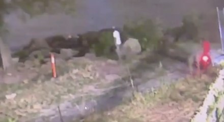 Momento en el que un dominicano indocumentado hiere a un agente fronterizo en Nueva York