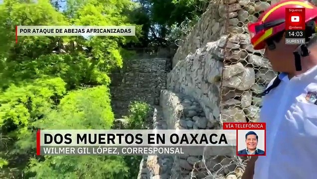 Mueren dos hombres tras ser atacados por abejas africanizadas en Oaxaca