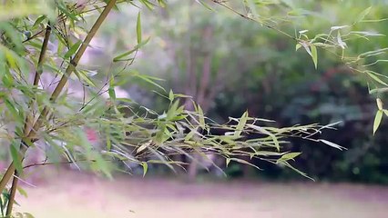 Kissable Lips Ep 3 Eng Sub