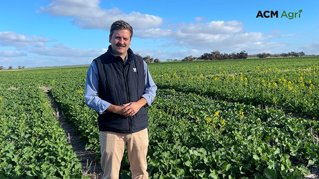 Canola trial plots at Pingelly put under the microscope by growers