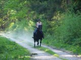 balade 11.05 galop forêt