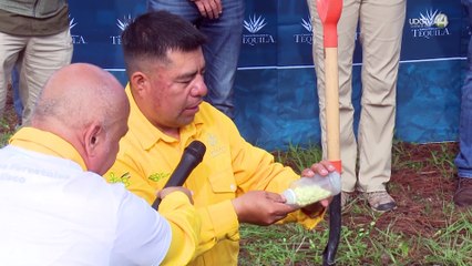 CRT mantiene lineamientos para evitar la siembra de agave en zonas no agrícolas