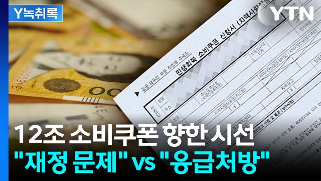 소비쿠폰, 재정에 문제없나?... 미래의 손실을 막기 위한 보험 [굿모닝 경제] / YTN