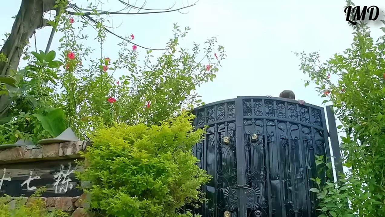 Korean Mix ♥️ Hindi Songs__ Romantic 💓 Kdrama And Cdrama Love 💕 Story __Chinese Mix ♥️ Hindi Songs