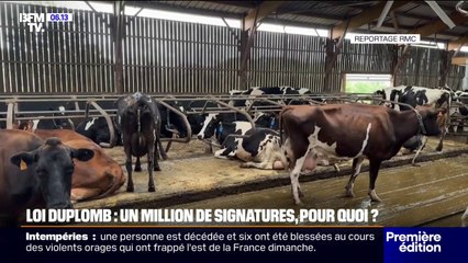 Plus d'un million de signatures pour la pétition contre la loi Duplomb