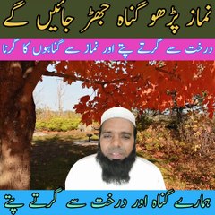 نماز پڑھو نماز پڑھنے سے گناہ جھڑ جاتے ہیں