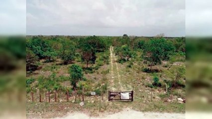 TC cierra las puertas al Aeropuerto Internacional de Bávaro