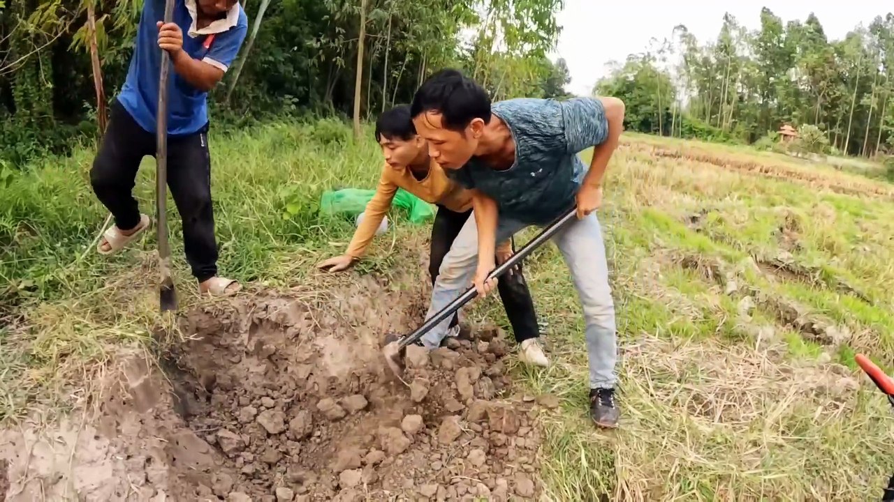 Brave Experts Catch 100 Giant Snakes By Hand