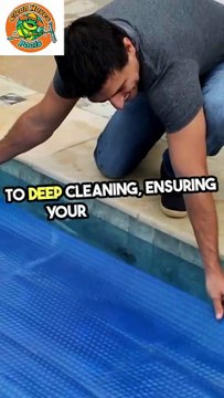 pool cleaning palm harbor
