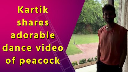 Kartik Aaryan wakes up to the peacock dance in Jaipur, shares video with fans