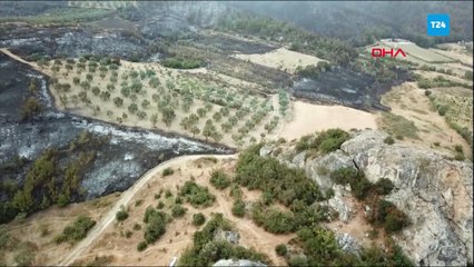 Sakarya'da iki gündür süren orman yangınında kül olan alanlar dronla görüntülendi
