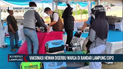Vaksinasi Hewan Diserbu Warga di Bandar Lampung Expo