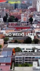 A surrogate for the Alpha King