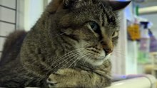 Chat-23