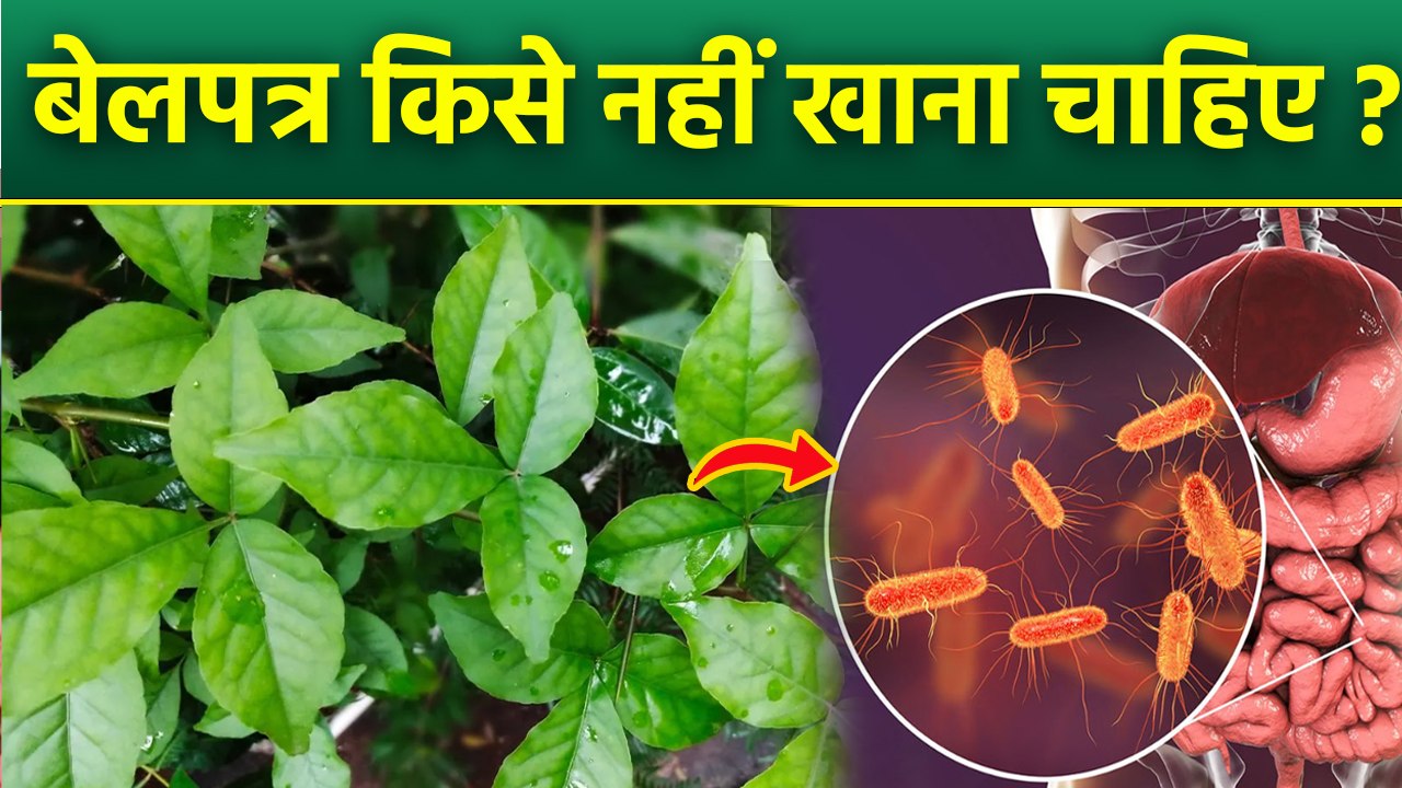 Bel Patra Eating Avoid:बेलपत्र किसे नहीं खाना चाहिए,Side Effects Of Belpatra | Boldsky